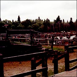 stables