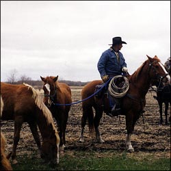 horse riding